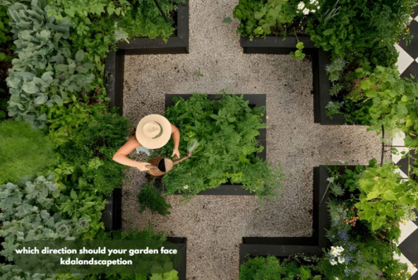 Which Direction Should Your Garden Face Kdalandscapetion 