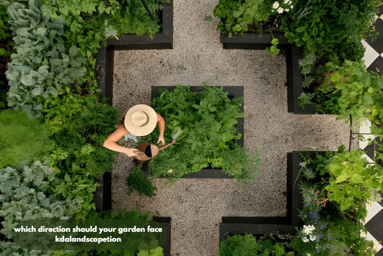 which direction should your garden face kdalandscapetion