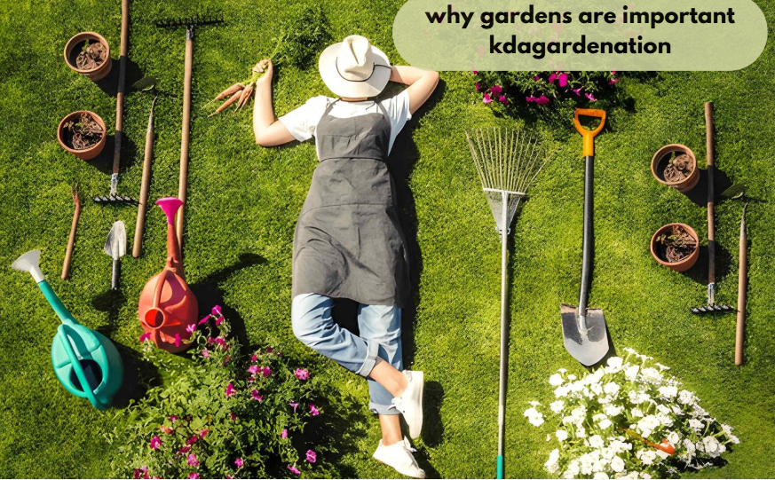 why gardens are important kdagardenation