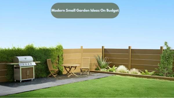 Modern Small Garden Ideas On Budget