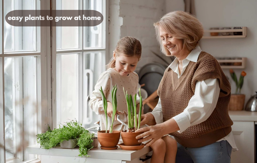easy plants to grow at home