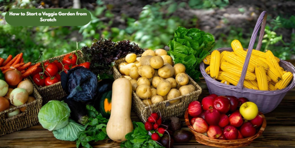 How to Start a Veggie Garden from Scratch: A Beginner’s Step-by-Step Guide 