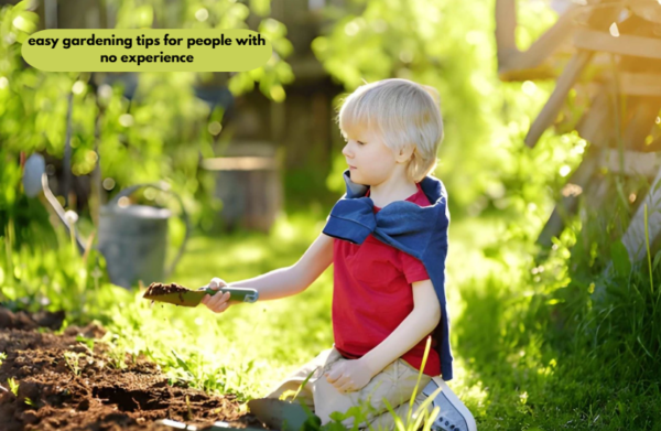 Easy Gardening Tips for People With No Experience: A Beginner’s Step-by-Step Guide