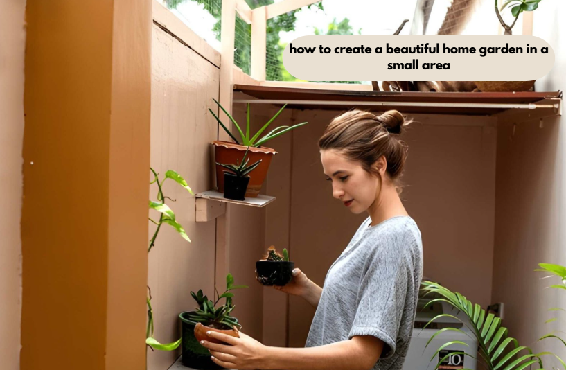 how to create a beautiful home garden in a small area