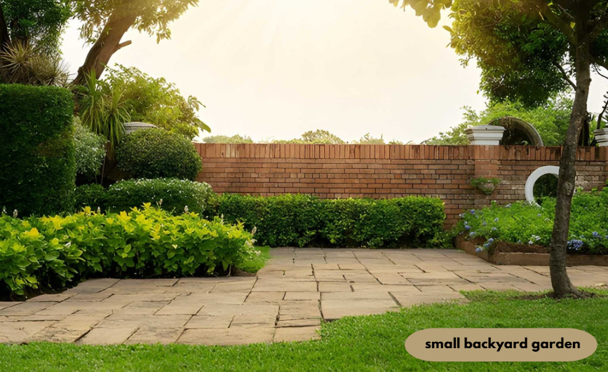 small backyard garden