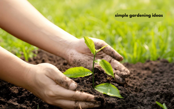 Simple Gardening Ideas for Beginners: Easy Ways to Grow a Beautiful Garden