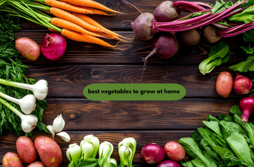 best vegetables to grow at home