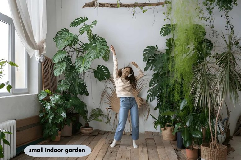 small indoor garden